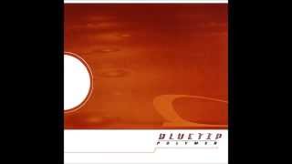 Bluetip  Polymer Dischord Records 121 2000 Full Album [upl. by Aneelas]