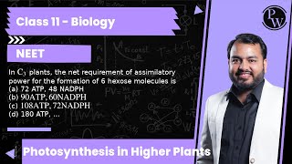 In C3 plants the net requirement of assimilatory power for the formation of 6 hexose molecules [upl. by Kraul]