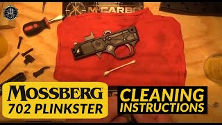 Mossberg 702 Plinkster Cleaning [upl. by Yemaj]