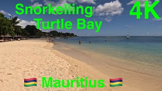 Snorkelling in Turtle Bay Mauritius [upl. by Ailsa]