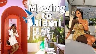 Moving to Miami 3 month Update  Life in Miami [upl. by Gilberte]