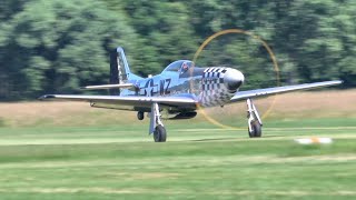 P51D Mustang quotFrances Dellquot roaring and whistling whilst Airshow [upl. by Rosati289]