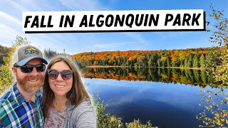 Fall Drive Through Algonquin Provincial Park  Fall Colours and Scenery [upl. by Ruhl]