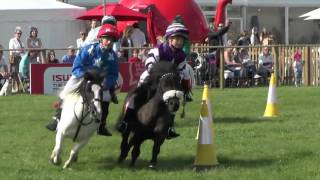 Shetland Pony Grand National [upl. by Earahc866]