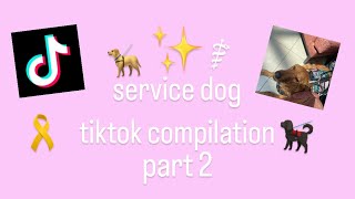 service dog tiktok compilation  part 2 [upl. by Kopaz]