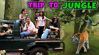 TRIP TO JUNGLE  Family Travel Vlog to Ranthambore  Aayu and Pihu Show [upl. by Stroup180]