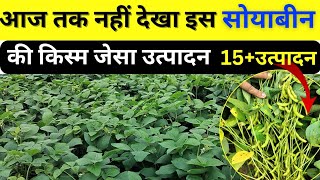 इस सोयाबीन जेसा उत्पादन नही देखा15 quintal 🔥new soybean veraity [upl. by Acirdna]