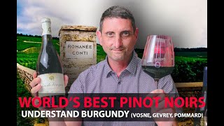 Finest Burgundy Wines  Your Guide to Top Pinot Noirs  VosneRomanée Pommard GevreyChambertin [upl. by Brockie]